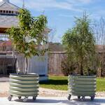 Vego Garden Self-Watering Rolling Citrus / Fruit Tree Metal Planter