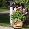 VegTrug Wooden Whiskey Barrel Planter