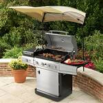 Veranda Grill Canopy