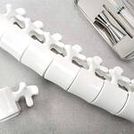 Lumbar Vertebra Coffee Mug