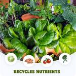 Vertical Garden Tower with Built-in Composter - Holds 50 Plants