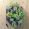 Vertical Wall Garden