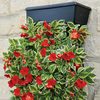 VertiGarden - Vertical Gardening System