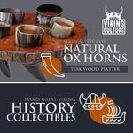 Viking Drinking Horn Shot Glass Set