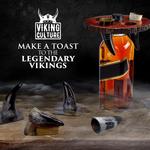 Viking Drinking Horn Shot Glass Set