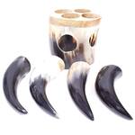 Viking Drinking Horn Shot Glasses