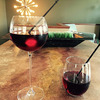 Vino Diva - Reusable Wine Aeration Straw