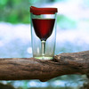 Vino2Go - Wine Sippy Cup