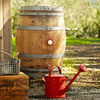 Vintage Wine Rain Barrel