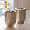 Viski Freezable Stainless Steel Shot Glasses
