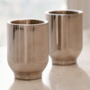 Viski Freezable Stainless Steel Shot Glasses