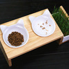 ViviPet Cat Dining Table