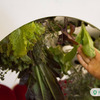 Voici OGarden - Rotating Planter Wheel With Central Light Source
