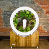 Voici OGarden - Rotating Planter Wheel With Central Light Source