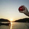 Waboba Water Ball - Bounces, Skips and Floats on Water