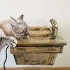 Wall-Mounted Cat Drinking Fountain