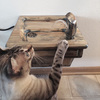 Wall-Mounted Cat Drinking Fountain