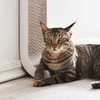 Wall-Mounted Vertical Cat Scratching Post