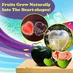 Watermelon Shaping Molds - Square or Heart Shapes