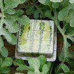 Watermelon Shaping Molds - Square or Heart Shapes