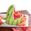 Watermelon Shark Serving Bowl