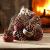 Wax-Bottom Pine Cone Fire Starters