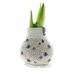 Waxed Amaryllis Flower Bulbs with Nordic Sweaters