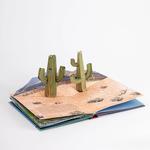 Weather Pop-Up Book