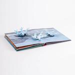 Weather Pop-Up Book