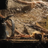 Webcaster Gun - Creates Highly Realistic Halloween Cobwebs