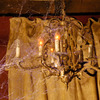 Webcaster Gun - Creates Highly Realistic Halloween Cobwebs