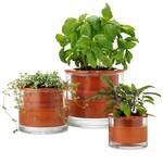 Wet Pots - Self-Watering Terracotta Pots