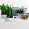 Wheatgrass Egg Planters