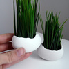 Wheatgrass Egg Planters
