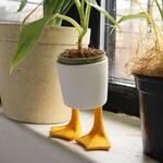 Whimsical Duck Feet Planter
