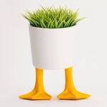 Whimsical Duck Feet Planter