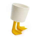 Whimsical Duck Feet Planter