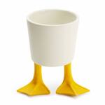 Whimsical Duck Feet Planter