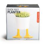 Whimsical Duck Feet Planter