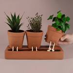 Whimsical Self-Watering Self-Care Planter Pot Trio