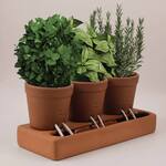 Whimsical Self-Watering Self-Care Planter Pot Trio
