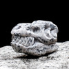 Whiskey Bones - Chillable Granite T-Rex Skulls