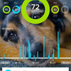 Whistle - Activity Monitor For Dogs