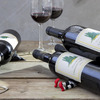 Wicked Witch Wine and Beer Bottle Stacker