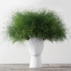 Wig Head Vase
