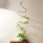 Winding Wall Trellis - Guide Indoor Vining Plants Vertically
