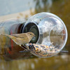 Window-Mounted Birdfeeder