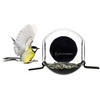 Window-Mounted Birdfeeder