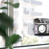 Window-Mounted Cat Penthouse