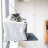 Window-Mounted Cat Penthouse